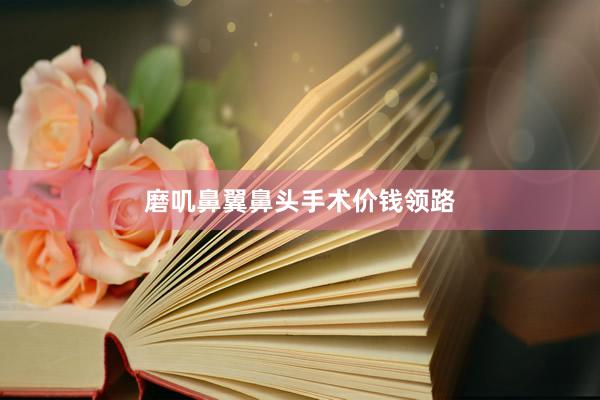 磨叽鼻翼鼻头手术价钱领路